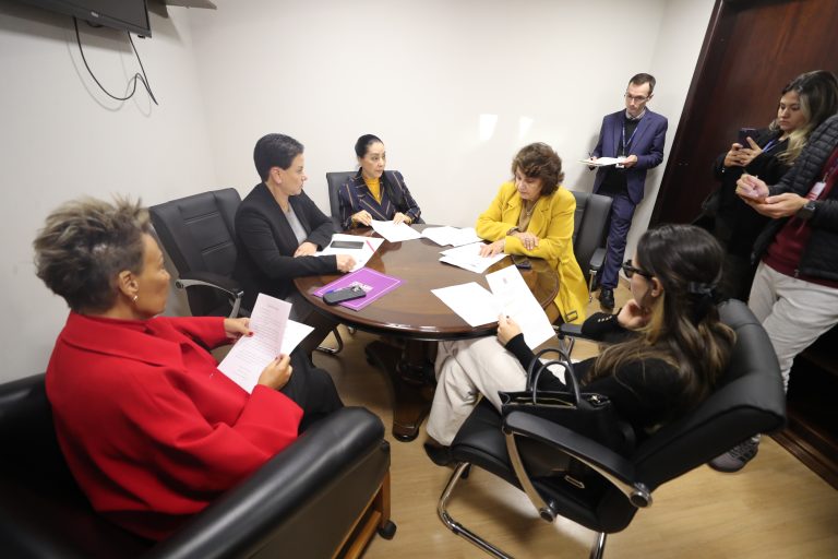 Deputadas estiveram reunidas e trataram sobre os projetos voltados às mulheres. Foto: Valdir Amaral/Alep