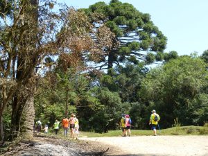 Caminhada na Natureza será no mês de julho em Mandirituba. Foto: Arquivo/O Regional