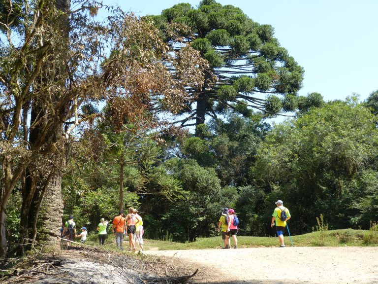 Caminhada na Natureza será no mês de julho em Mandirituba. Foto: Arquivo/O Regional