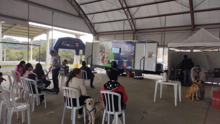 Piên está recebendo atendimentos do Vet-Móvel. Foto: Arquivo/O Regional