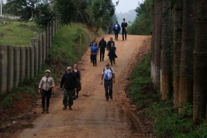 Caminhada reuniu expressivo número de participantes em Mandirituba. Foto: Getter Filho/Prefeitura de Mandirituba